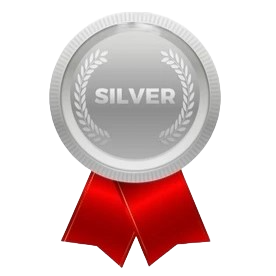 Silver icon